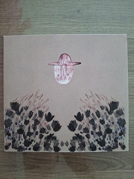 Devendra Banhart - Smokey Rolls Down Thunder Canyon