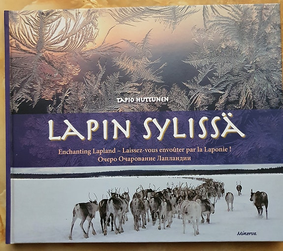 Lapin sylissä. Tapio Huttunen