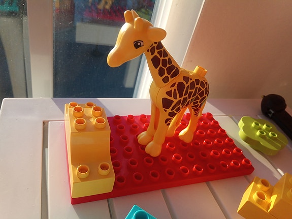 Product image 5 of 9