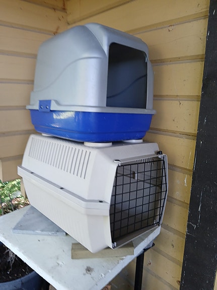Kissan hiekkalaatikko ja kuljetusboxi muovia