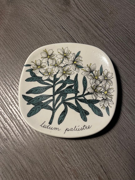 Esteri Tomula design ”Ledum palustre” lautanen