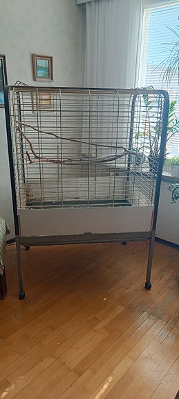 Papukaijalle sopiva häkki.