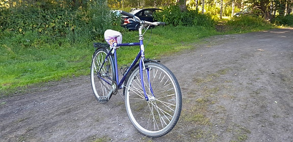 Tunturi 28"