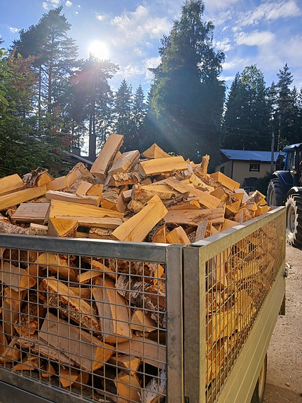 Polttopuuta