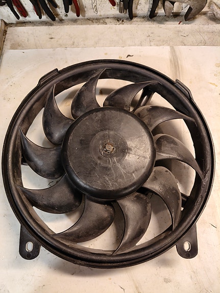 Audi flekti