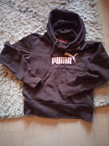 Puma huppari