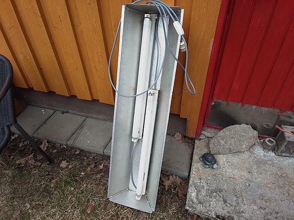 Loisteputkivalaisin