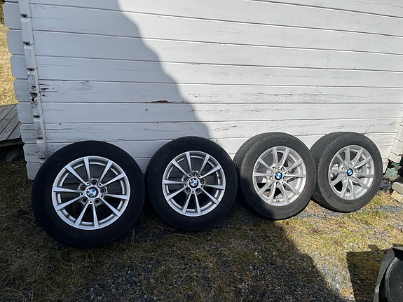 Bmw alkuperäiset vanteet misukan renkailla
