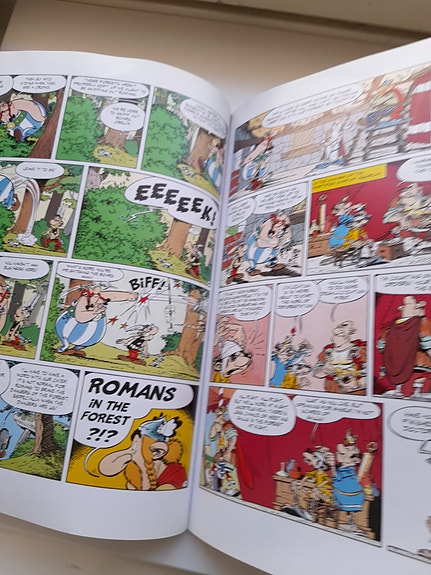 Asterix The Mansions of the Gods