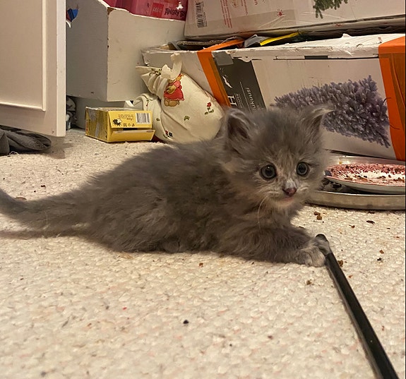 Product image 3 of 8