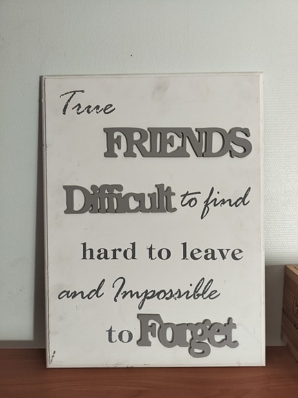 Taulu tekstillä True Friends