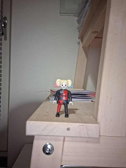 Playmobil Harley Quinn