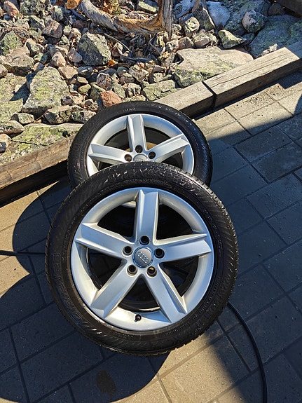 Audin 17" vanteet kesärenkailla