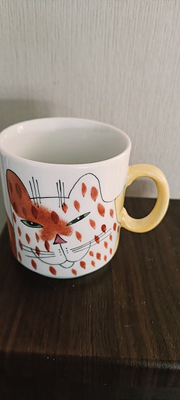 Kissa muki