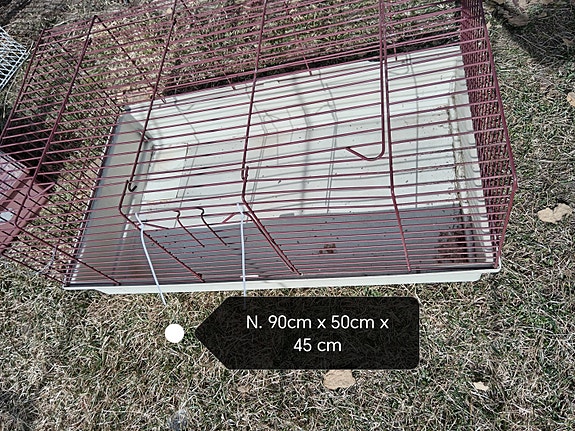 Jyrsijän häkki