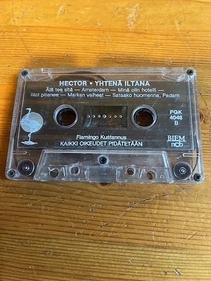 Hector Yhtenä Iltana