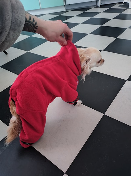 Product image 8 of 10