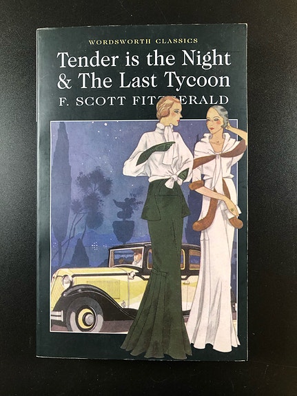 2 Books in 1: Tender is the Night and The Last Tycoon by F. Scott Fitzgerald