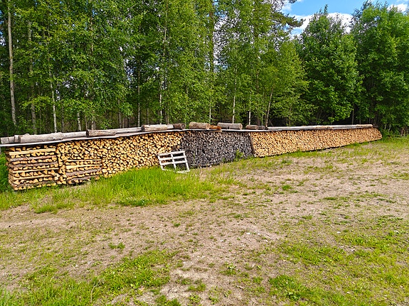 Kuivaa koivuhalkoa ja sekahalkoo