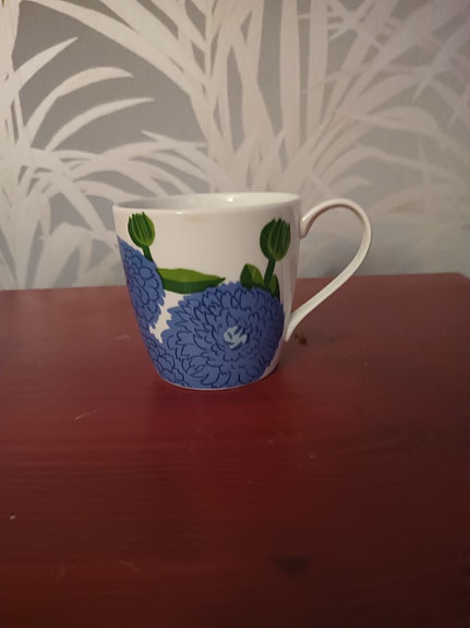 Iittala Primavera muki sininen kukkakuvio