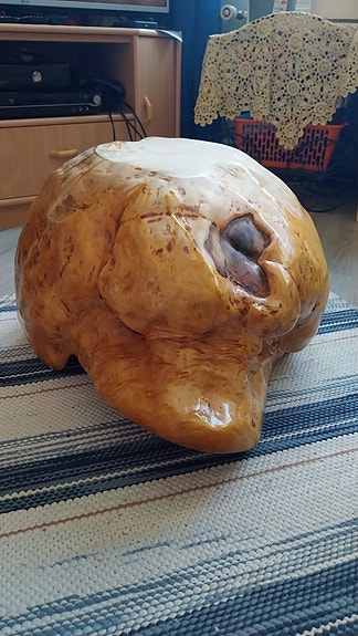 Pahka