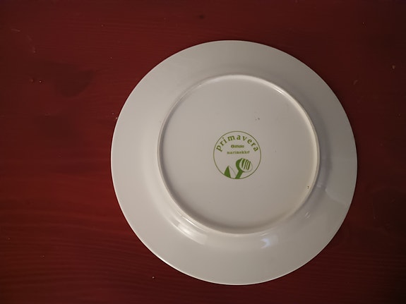 Iittala Primavera lautanen