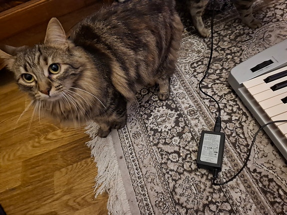 Product image 3 of 5