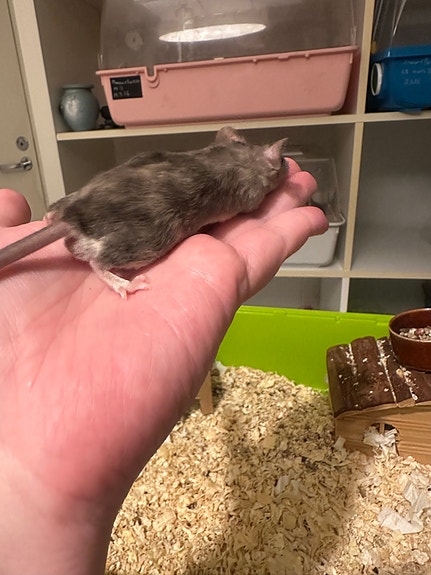 Product image 3 of 9