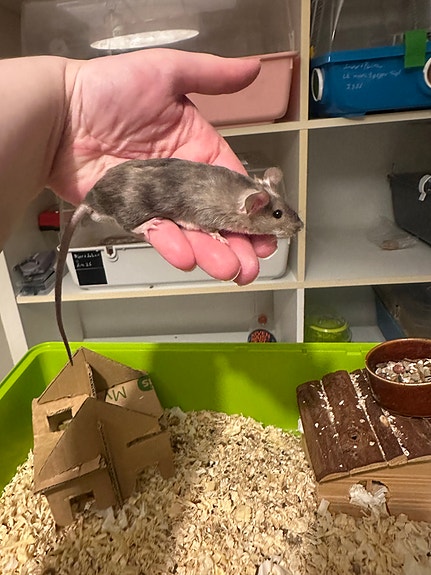 Product image 6 of 9