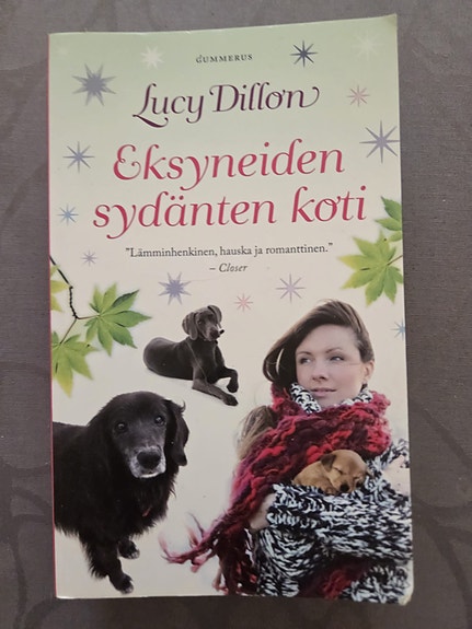 Lycy Dillon: Eksyneiden sydänten koti