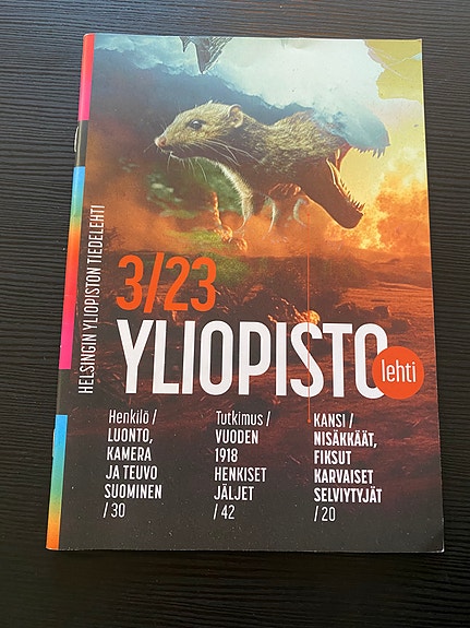 Product image 3 of 10