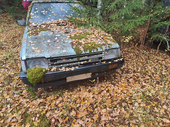 Toyota tercel purkuun
