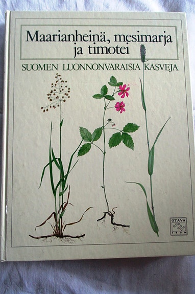Maarianheinä, mesimarja ja timotei