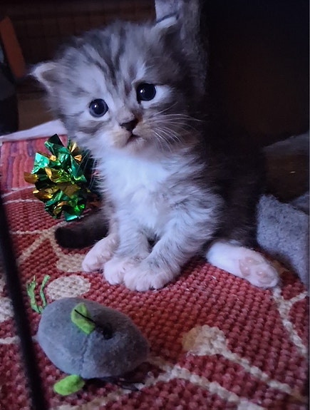 Product image 2 of 9