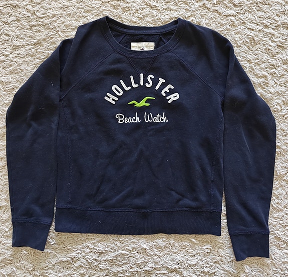 Hollister college