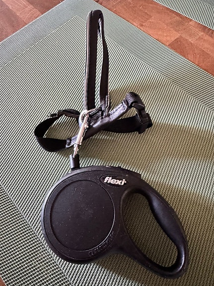 Flexi Classic xs 3m kelatalutin ja valjaat koiralle/kissalle musta