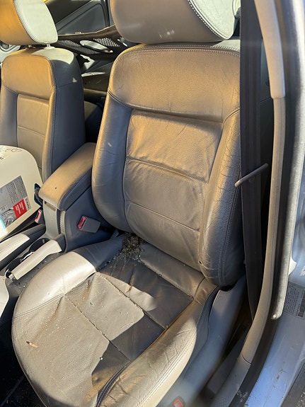 Volkswagen Passat 3BG USA Osina
