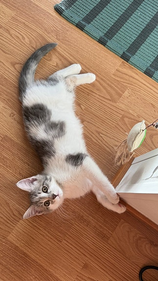 Product image 9 of 10