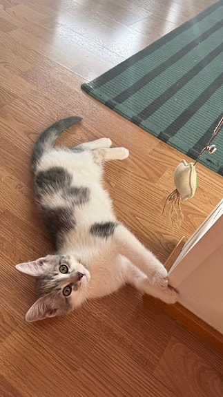 Product image 10 of 10