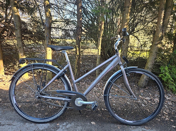 Raleigh-merkkinen polkupyörä
