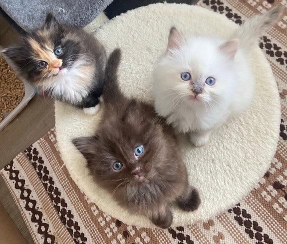 Product image 3 of 8