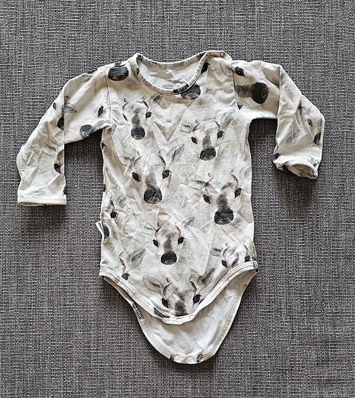 Metsola body (74)