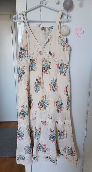 Pitkä kesämekko