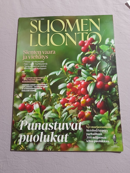 Suomen Luonto -lehti 7/2024