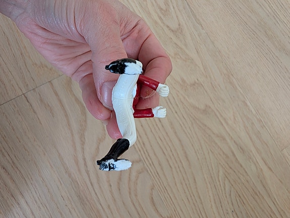 Product image 6 of 10