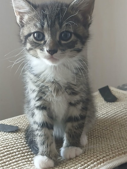 Product image 9 of 10