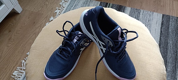 Asics sisäpelikengät