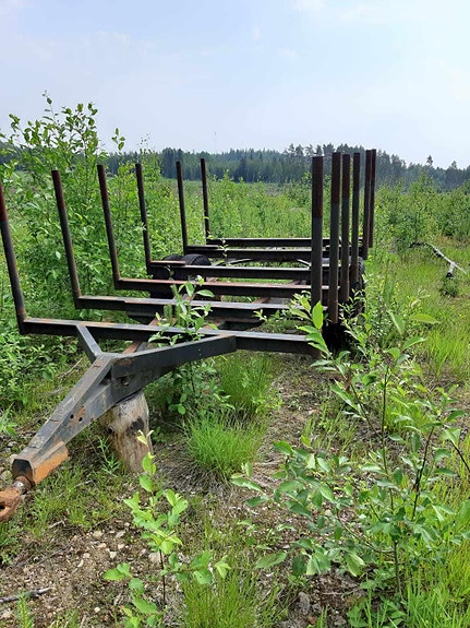 Rankakärry