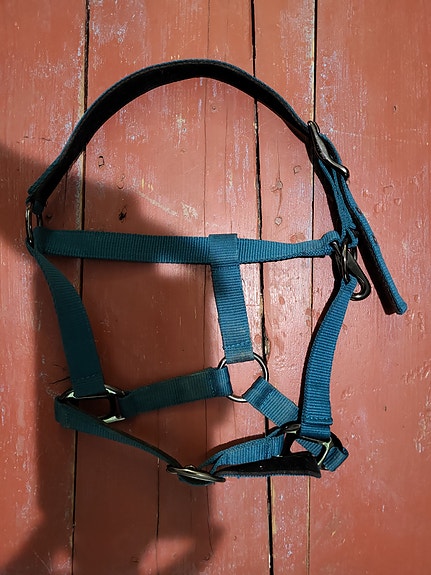 Päitset, koko pony