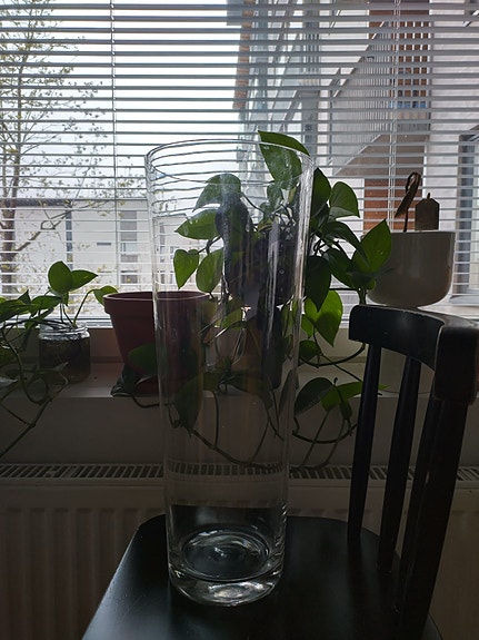 Korkea lasimaljakko